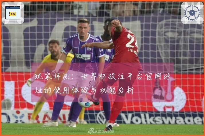 玩家评测：世界杯投注平台官网地址的使用体验与功能分析