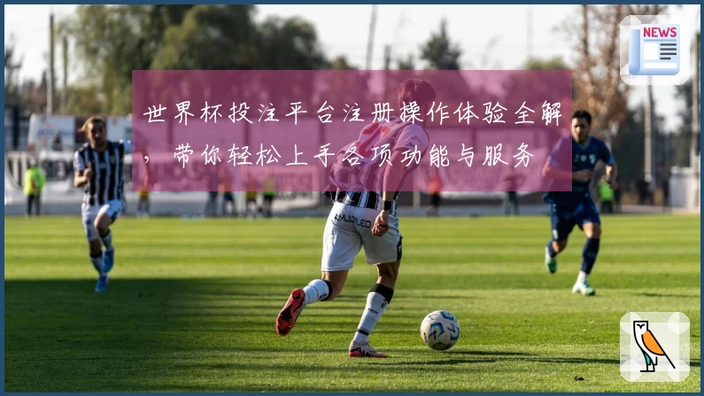 世界杯投注平台注册操作体验全解，带你轻松上手各项功能与服务