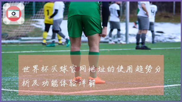 世界杯买球官网地址的使用趋势分析及功能体验详解