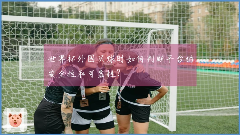 世界杯外围买球时如何判断平台的安全性和可靠性?
