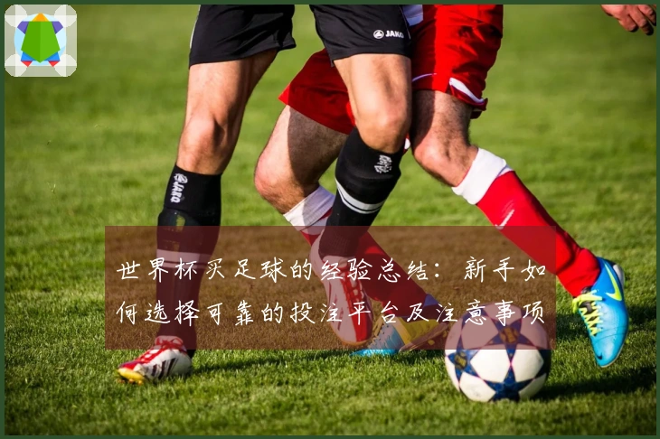 世界杯买足球的经验总结:新手如何选择可靠的投注平台及注意事项