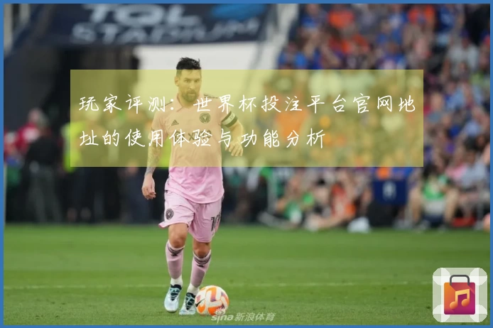 玩家评测：世界杯投注平台官网地址的使用体验与功能分析