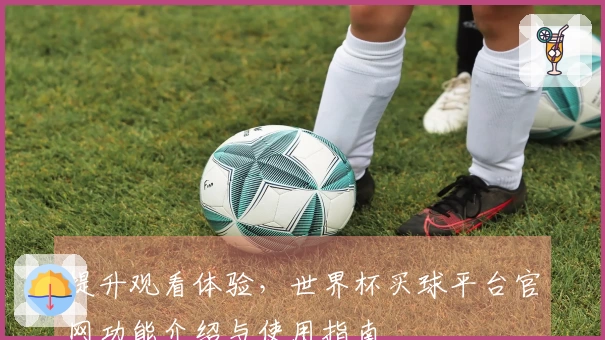 提升观看体验，世界杯买球平台官网功能介绍与使用指南