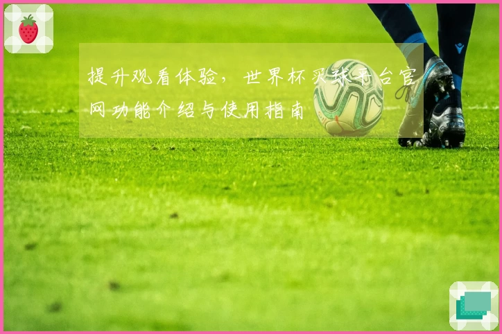 提升观看体验，世界杯买球平台官网功能介绍与使用指南