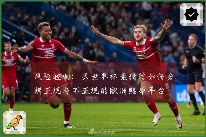 风险控制：买世界杯竞猜时如何分辨正规与不正规的欧洲赔率平台