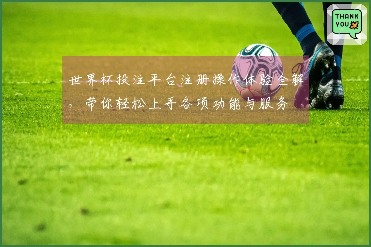 世界杯投注平台注册操作体验全解，带你轻松上手各项功能与服务