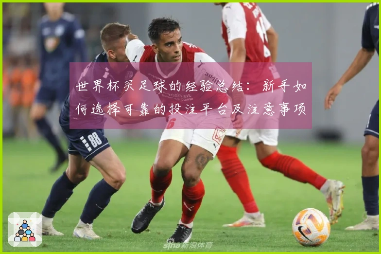 世界杯买足球的经验总结：新手如何选择可靠的投注平台及注意事项